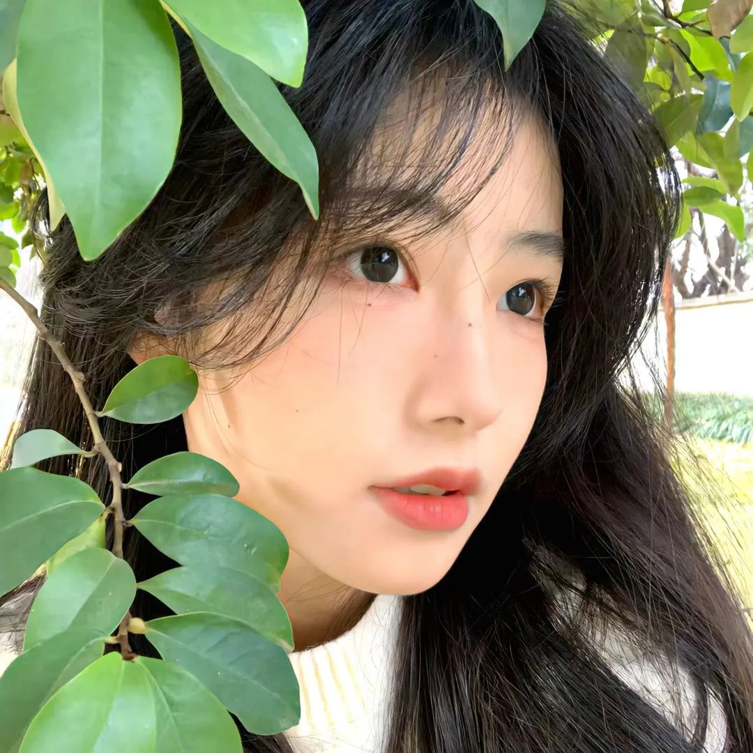 2024青春芒果节