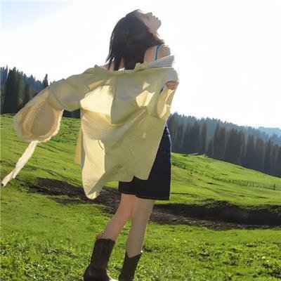 神偷燕子李三
